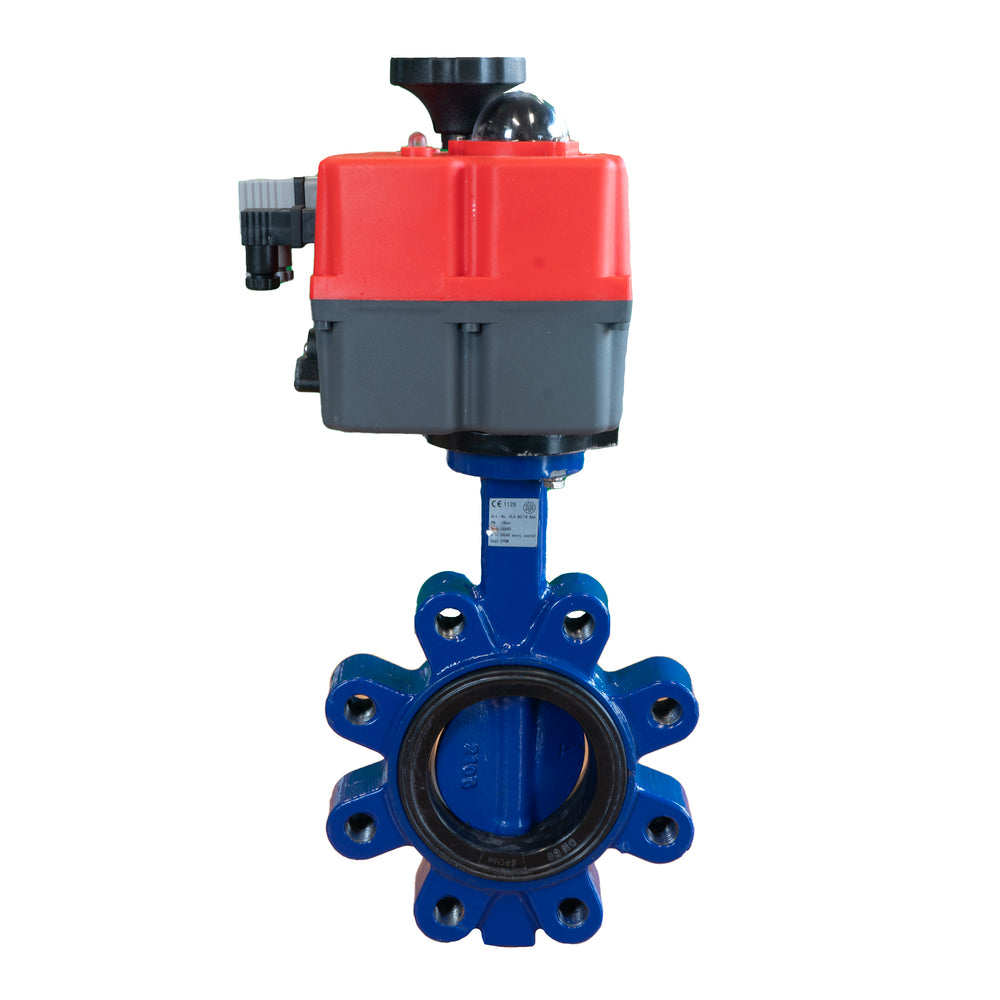 Electric Butterfly Valve DN80 24-240V AC/DC Fail-Safe Lug GGG40 FKM J+J