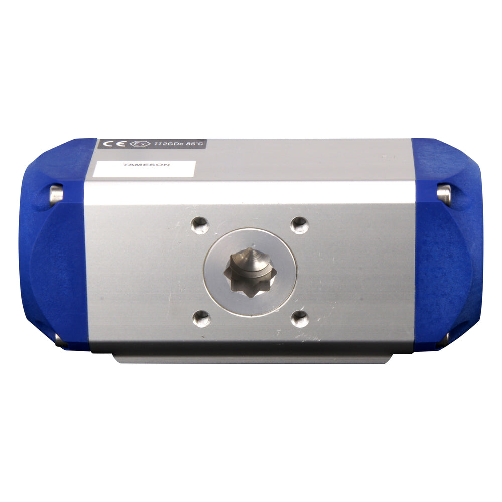 DN65 (2-1/2 inch) Wafer Pneumatic Butterfly Valve GG25-Stainless Steel-NBR Double Acting - BFLW