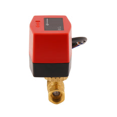 Electrical Ball Valve BW2 1/2'' 2-way 120V AC 3-point