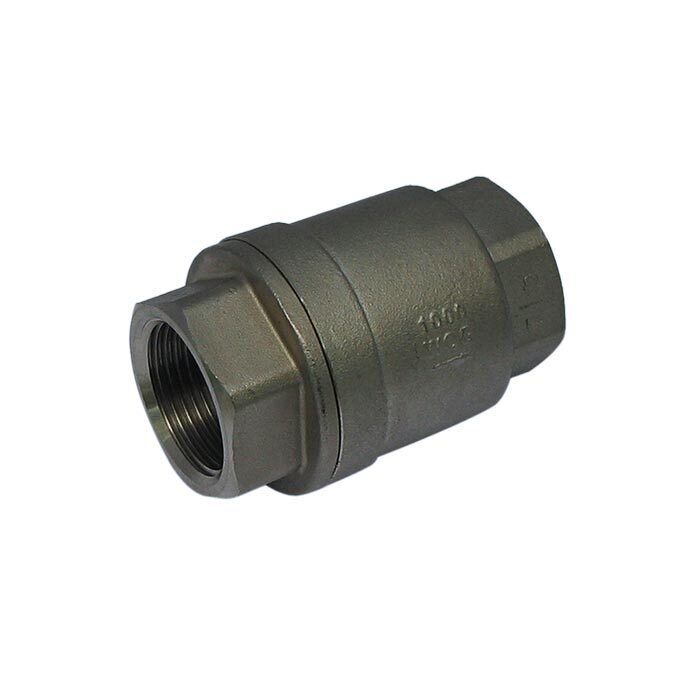 655 - G1'' Check Valve Stainless Steel PTFE F/F 64bar
