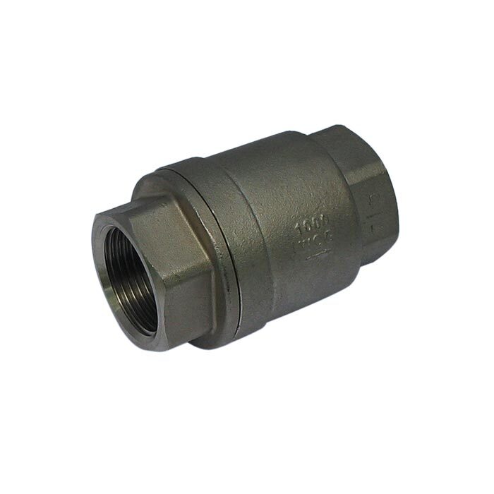 655 - G1-1/4'' Check Valve Stainless Steel PTFE F/F 64bar