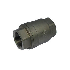 655 - G1-1/4'' Check Valve Stainless Steel PTFE F/F 64bar