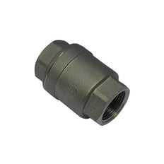 655 - G1-1/4'' Check Valve Stainless Steel PTFE F/F 64bar