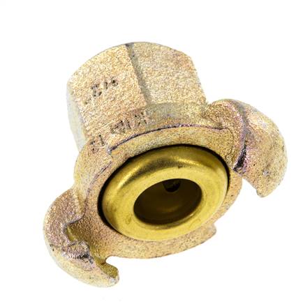 Cast Iron DN 17 DIN 3489 Twist Claw Coupling Rp 1/2'' Female