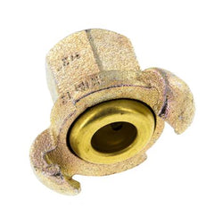 Cast Iron DN 17 DIN 3489 Twist Claw Coupling Rp 1/2'' Female