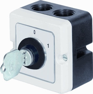 Telux Type PA Disconnector - M10 P A4+SA