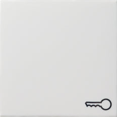 Gira System 55 Control Element/Central Plate Switchgear - 028727 [2 Pieces]