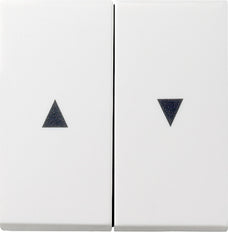 Gira System 55 Control Element/Central Plate Switchgear - 029427