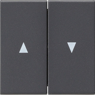 Gira System 55 Control Element/Central Plate Switchgear - 029428