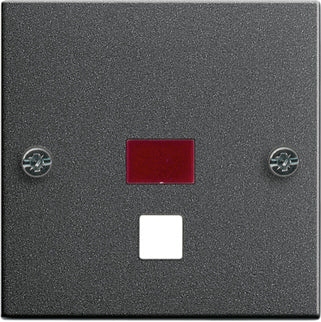 Gira System 55 Control Element/Central Plate Switchgear - 063828