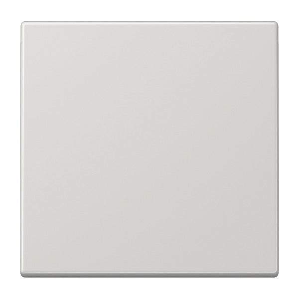 Jung LS990 Control Element/Central Plate Switchgear - LS990LG