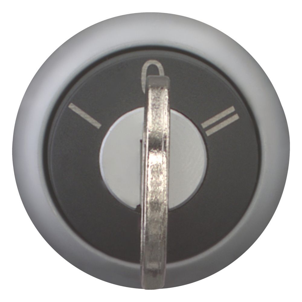 EATON INDUSTRIES RMQ-Titan Selector Switch Front Element - 216900