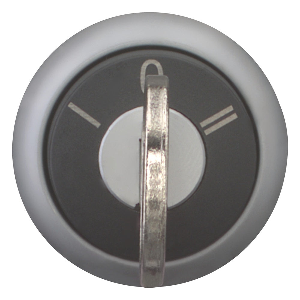 EATON INDUSTRIES RMQ-Titan Selector Switch Front Element - 216894