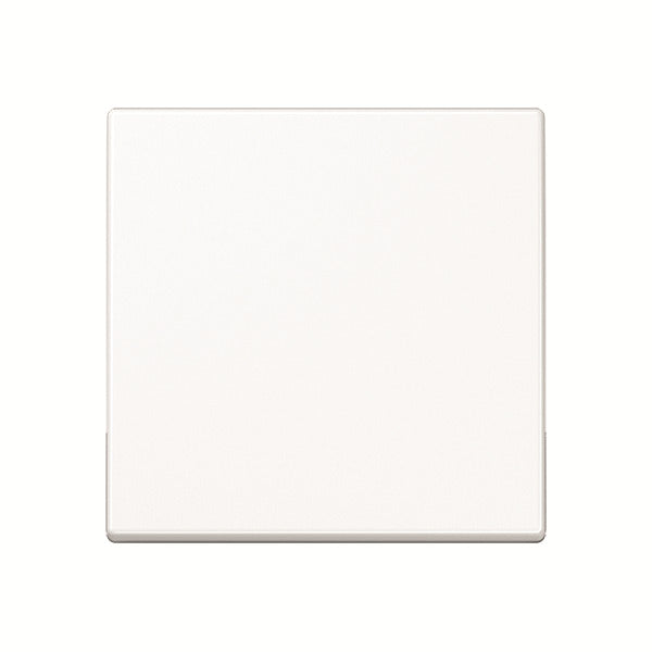 Jung A500 Control Element/Central Plate Switchgear - A590WW [2 Pieces]