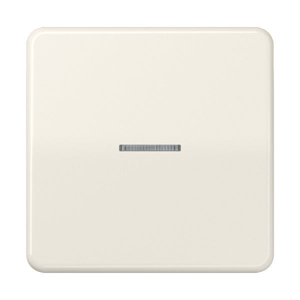 Jung CD500 Control Element/Central Plate Switchgear - CD590KO5