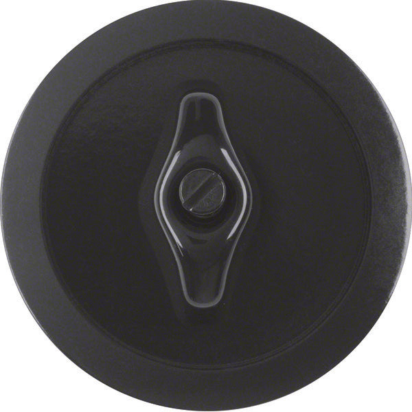 Hager Berker 1930 Control Element/Central Plate Switchgear - 164701