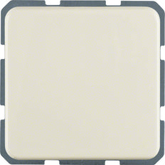 Hager Berker Wall Outlet Box (WCD Switchgear) - 4715