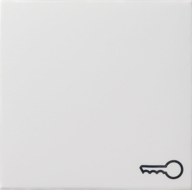 Gira System 55 Control Element/Central Plate Switchgear - 028703 [2 Pieces]