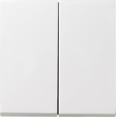 Gira System 55 Control Element/Central Plate Switchgear - 029503