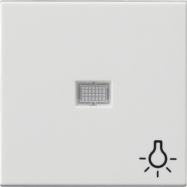 Gira System 55 Control Element/Central Plate Switchgear - 063003