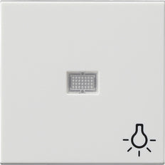 Gira System 55 Control Element/Central Plate Switchgear - 063003