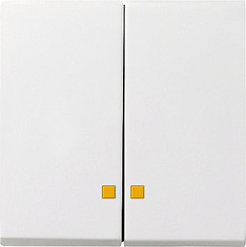 Gira System 55 Control Element/Central Plate Switchgear - 063103