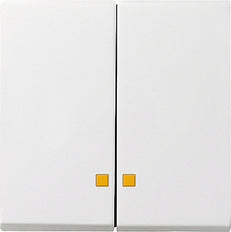 Gira System 55 Control Element/Central Plate Switchgear - 063103