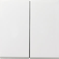 Gira F100 Installation Switch - 0125112