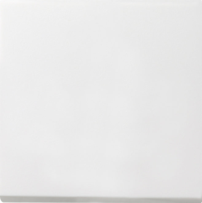 Gira F100 Installation Switch - 0126112
