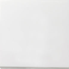 Gira F100 Installation Switch - 0126112
