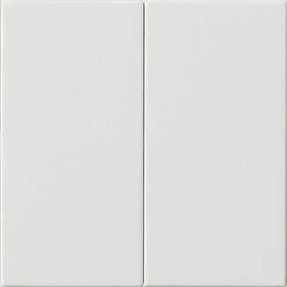 Gira System 55 Dual Rocker Switch Blank Pure White - 537003