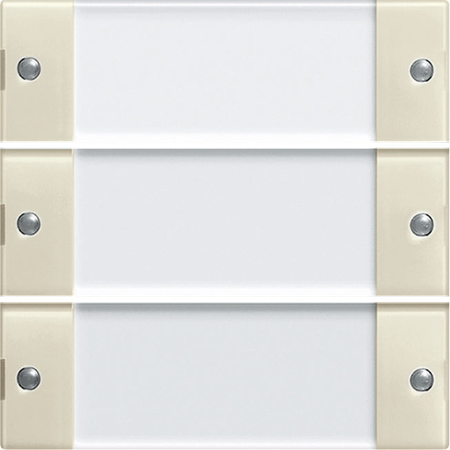 Gira System 55 Control Element/Central Plate Switchgear - 213301