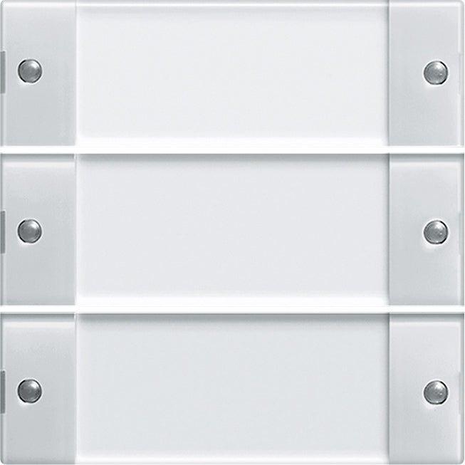 Gira System 55 Control Element/Central Plate Switchgear - 213303