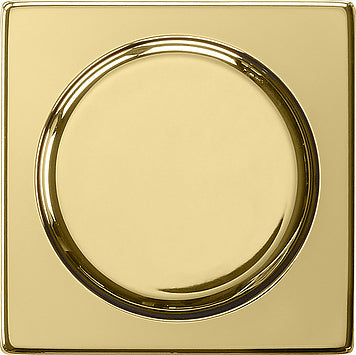 Gira System 55 Control Element/Central Plate Switchgear - 0650604
