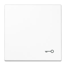 Jung LS990 Control Element/Central Plate Switchgear - LS990TWW