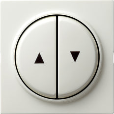 Gira S-Color Control Element/Central Plate Switchgear - 029440