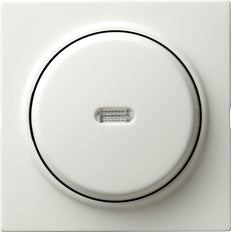 Gira 78013 Interruttore A Muro Bianco, 2 Moduli, Per Impianto Da Esterno In Serie Aufputz