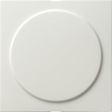 Gira S-Color Switch Insert - 026840