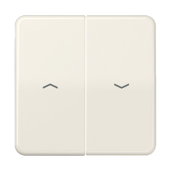Jung CD500 Control Element/Central Plate Switchgear - CD595P