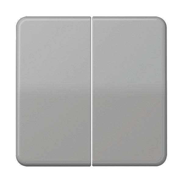 Jung CD500 Control Element/Central Plate Switchgear - CD595GR