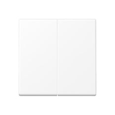 Jung A RANGE Control Element/Central Plate Switchgear - A595WWM