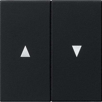 Gira System 55 Control Element/Central Plate Switchgear - 0294005