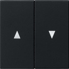 Gira System 55 Control Element/Central Plate Switchgear - 0294005