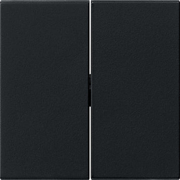 Gira System 55 Control Element/Central Plate Switchgear - 0295005