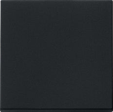 Gira System 55 Control Element/Central Plate Switchgear - 0296005