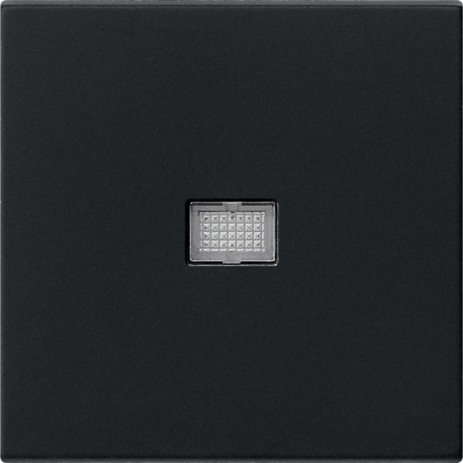Gira System 55 Control Element/Central Plate Switchgear - 0298005
