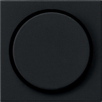 Gira System 55 Control Element/Central Plate Switchgear - 0650005