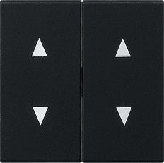 Gira System 55 Control Element/Central Plate Switchgear - 1150005