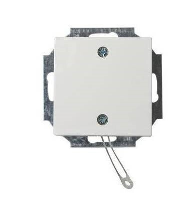 ABB Busch-Jaeger Installation Switch - 2CKA009999A2610