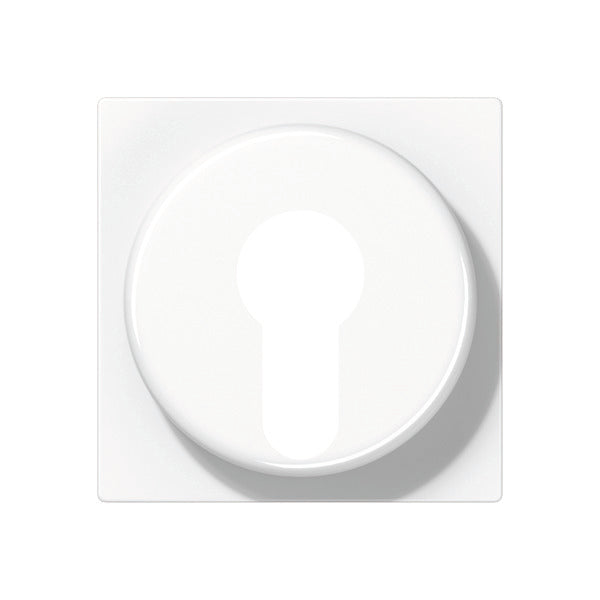 Jung AS500 Control Element/Central Plate Switchgear - A528PLWW